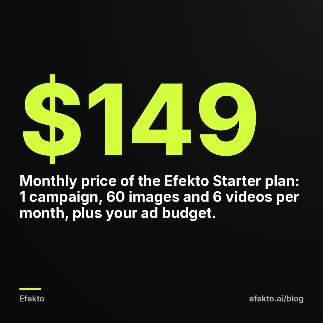 $149 - Monthly price of the Efekto Starter plan: 1 campaign, 60 images and 6 videos per month, plus your ad budget.
