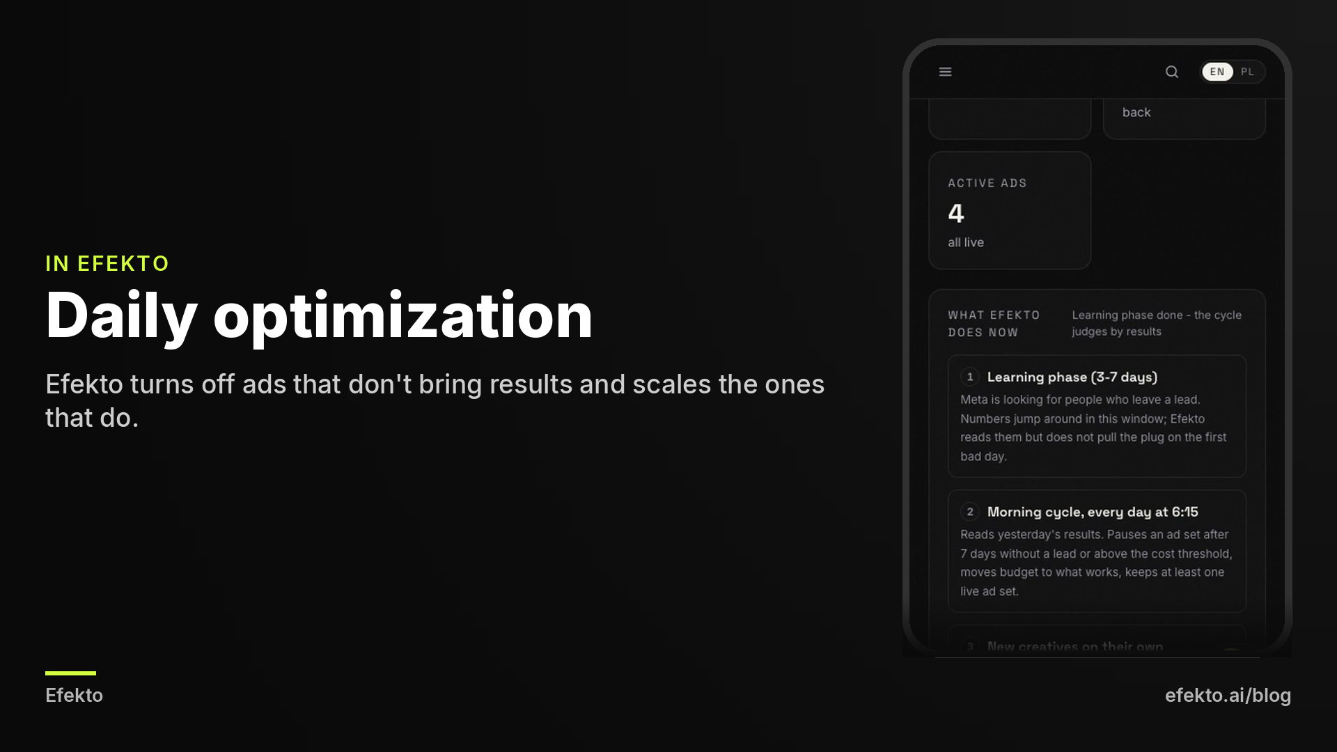 Screenshot: What Efekto does every day: learning phase, morning cycle, new ads