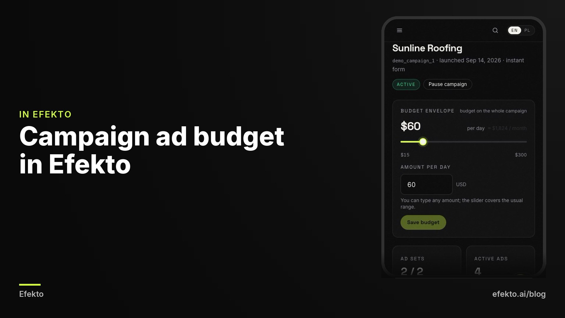 Screenshot: Campaign ad budget in Efekto