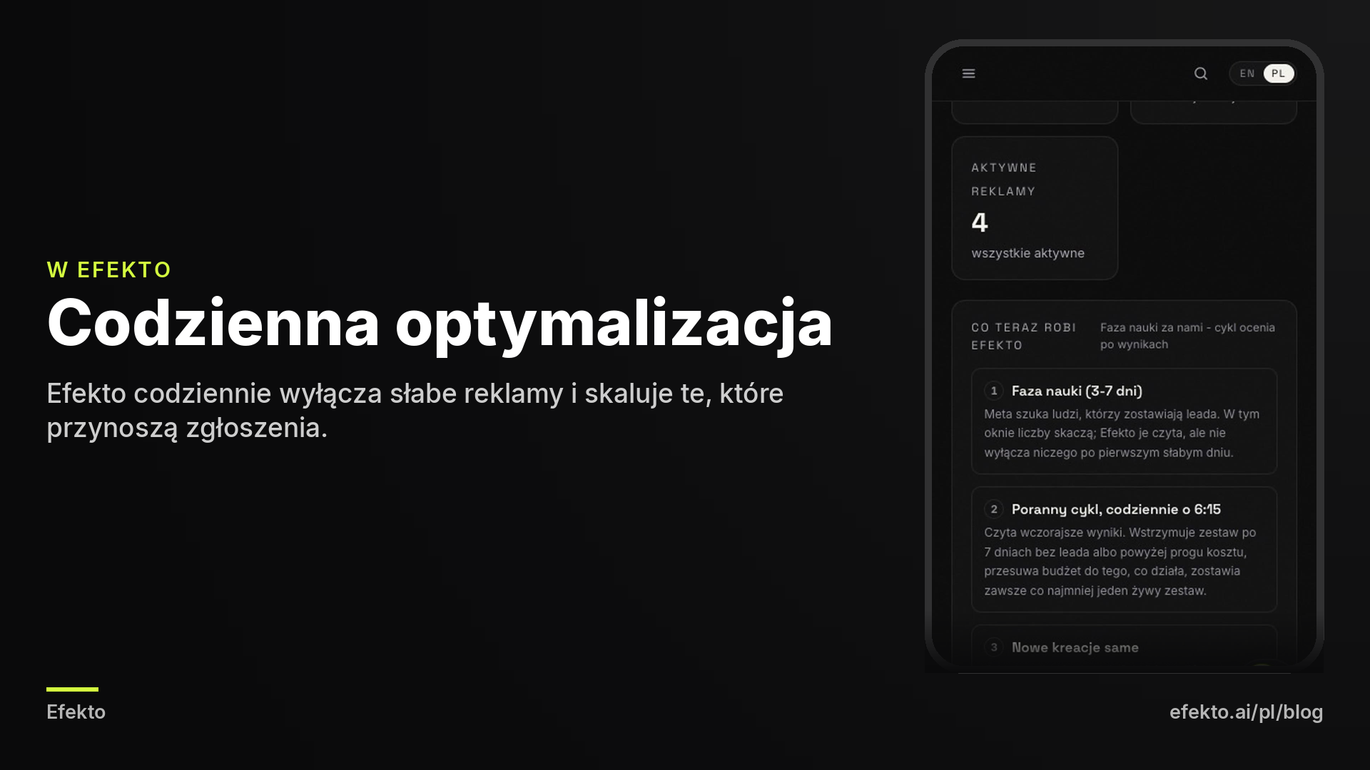 Zrzut ekranu: Co Efekto robi codziennie: faza nauki, poranny cykl, nowe reklamy