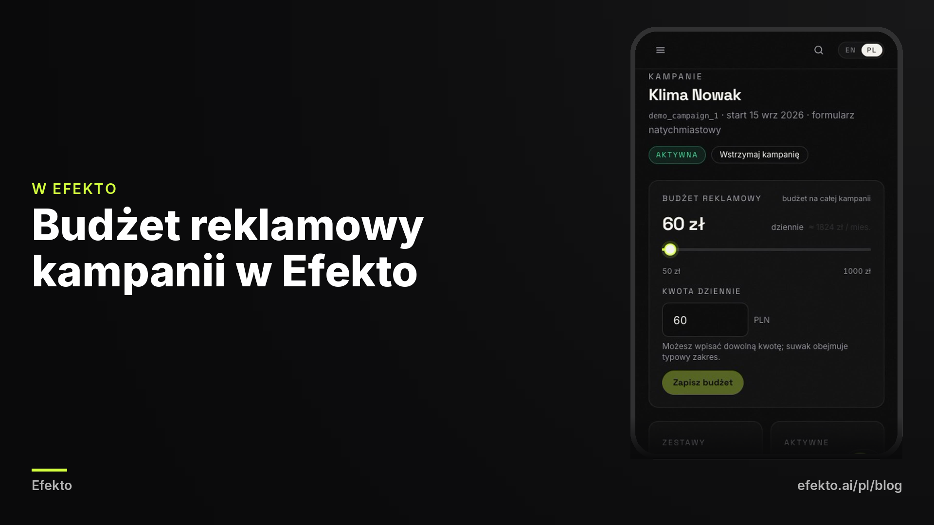 Zrzut ekranu: Budżet reklamowy kampanii w Efekto